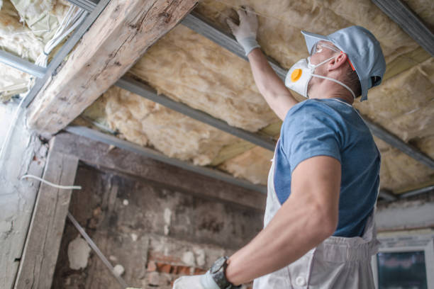 Best Insulation Removal Services  in USA